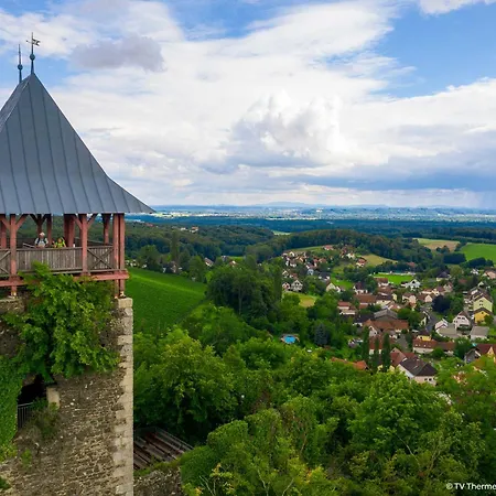 JUFA Hotel Bad Radkersburg - inkl 4h Thermeneintritt in Parktherme-3